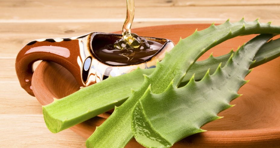 Aloe vera