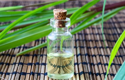 Benefits of lemongrass oil to hair